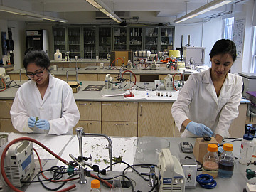 Leri Research Group 2012-13.  Kelsey Villafuerte and Ashley Pirovano.
