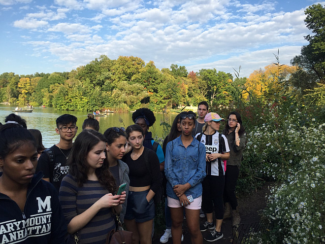 Students in the Urban Ecosystem freshman seminar learn to identify water-tolerant native species lakeside in Central Park.