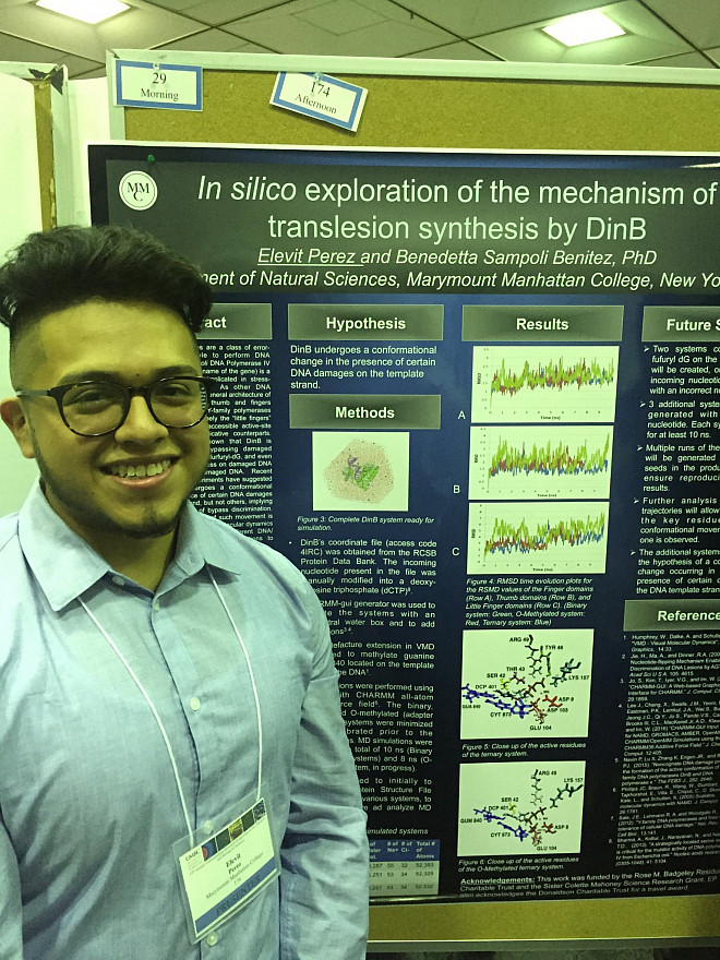 Elevit Perez presents his work with Prof. Sampoli at the Undergraduate Research Symposium in the Chemical and Biological Sciences at the ...
