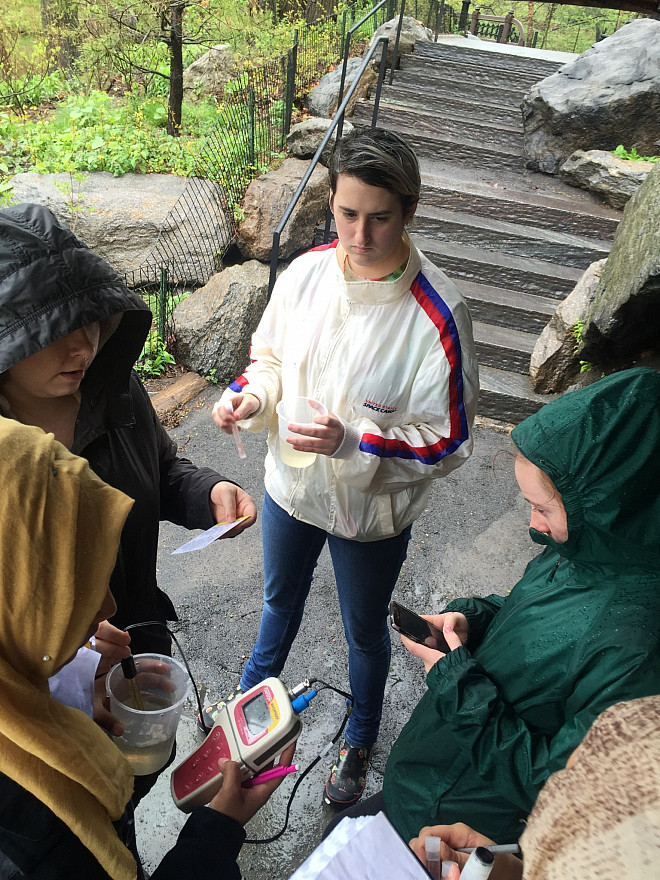 Students in Prof. Leri's Chemistry and the Environment class study water chemistry in The Lake in Central Park's Ramble.