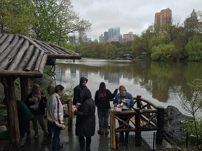 Students in Prof. Leri's Chemistry and the Environment class study water chemistry in The Lake in Central Park's Ramble.