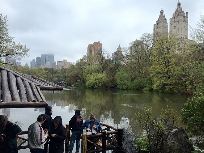 Students in Prof. Leri's Chemistry and the Environment class study water chemistry in The Lake in Central Park's Ramble.