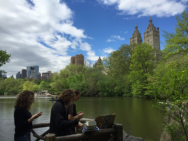 Prof. Leri's Chemistry and the Environment (CHEM/ENV 105) students measure water quality in The Lake in Central Park's Ramble.