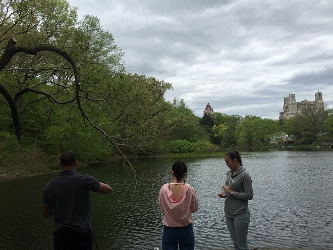 Prof. Leri's Chemistry and the Environment (CHEM/ENV 105) students measure water quality in The Lake in Central Park's Ramble.