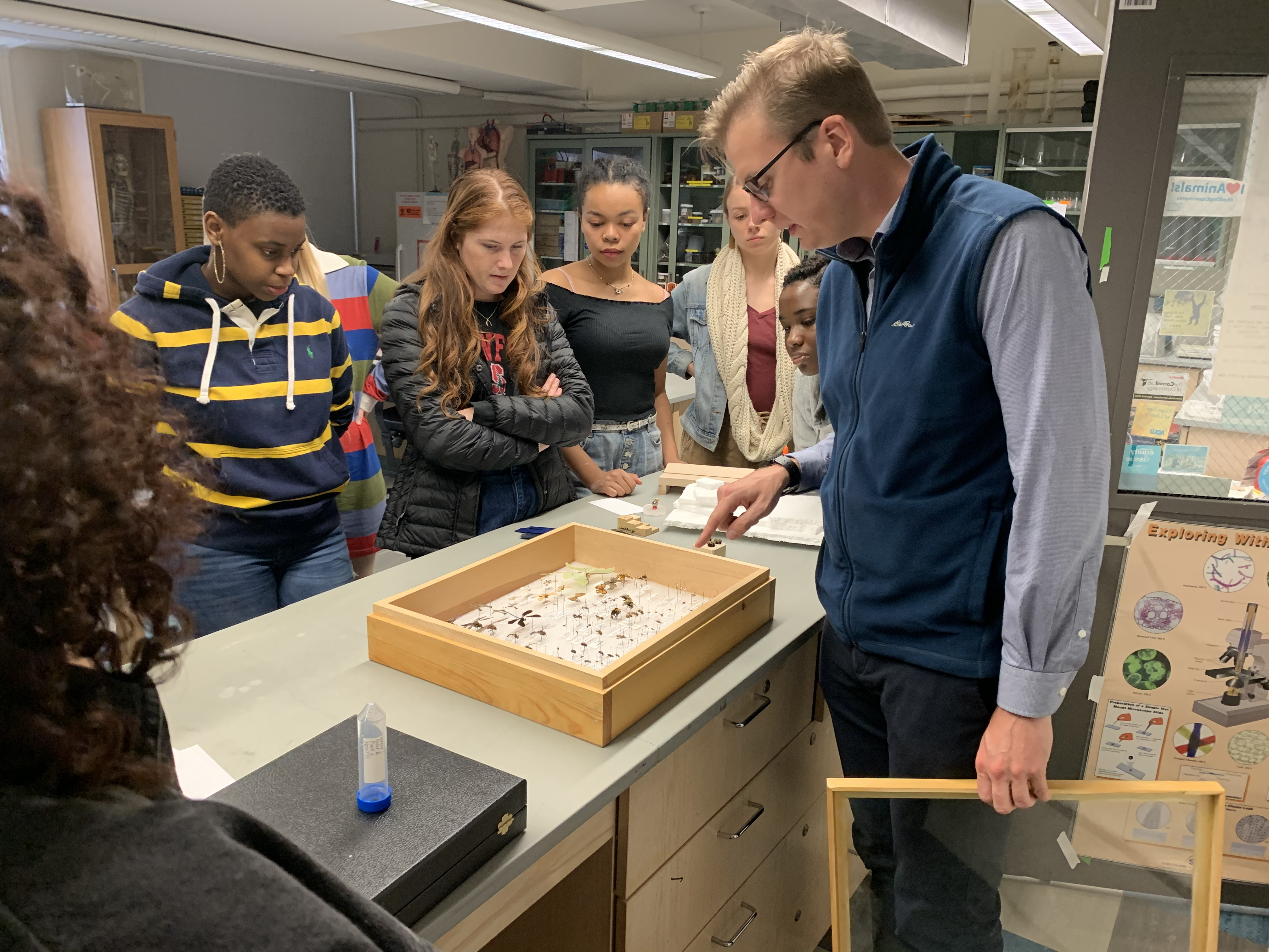 Professor Lundquist showing examples of pinned insects for NYC103: New York City Urban Ecosystem