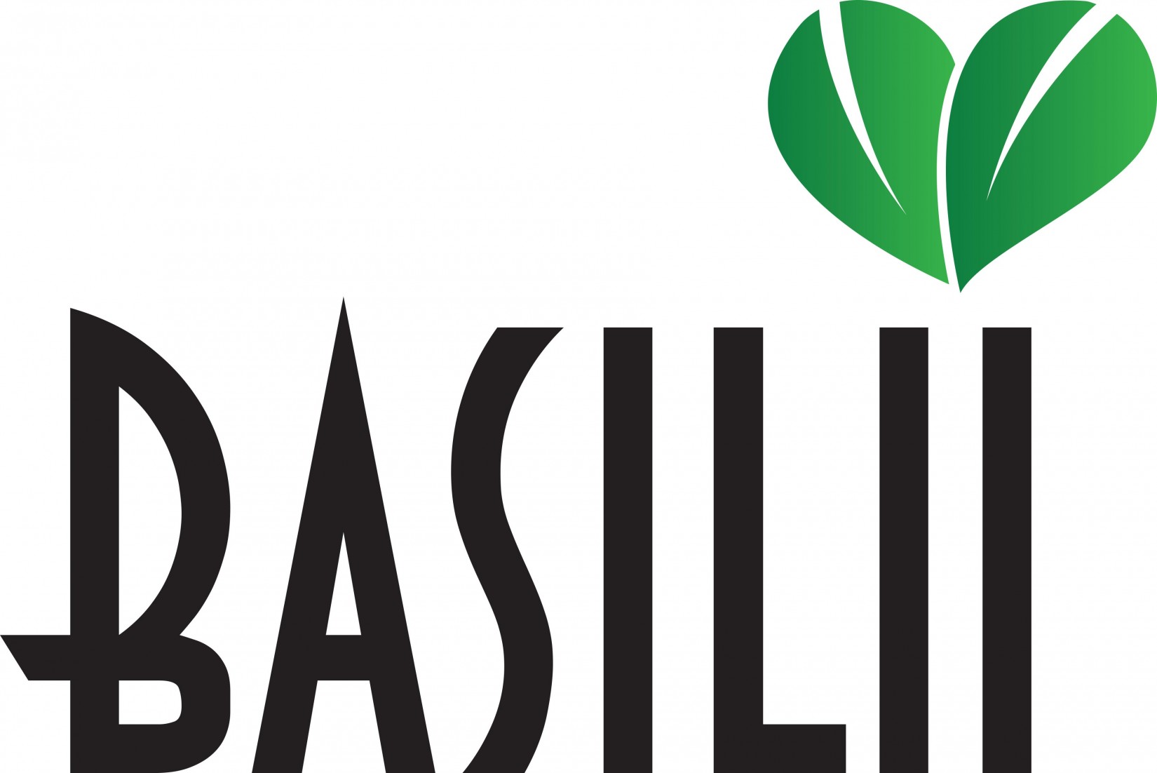Basilii LLC.