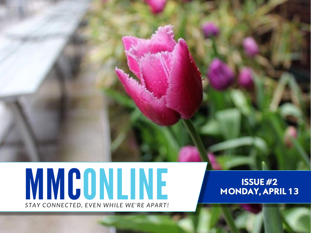 Click to read Issue #2 of MMCOnline