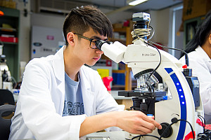 Student looking through a microscope in a lab