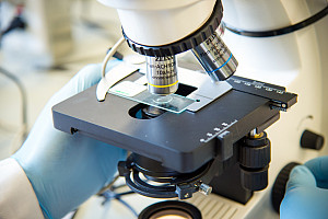 Close-up of a student holding a microscope; only the bottom half of it is shown