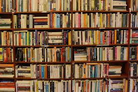 Book Shelf with books 