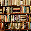 Book Shelf with books 