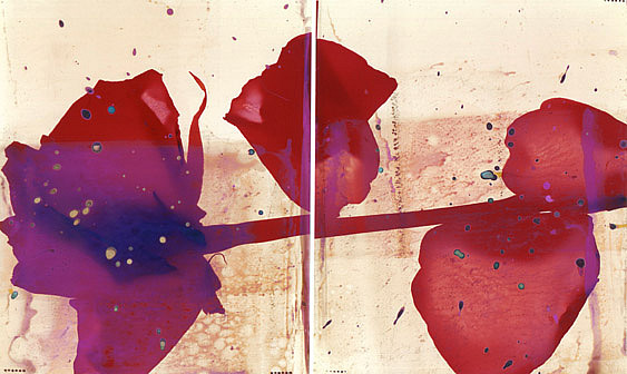 Millie Falcaro Red Rose Diptych
