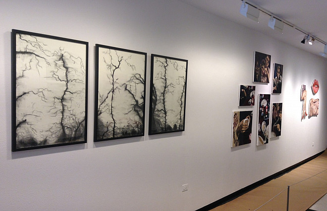Installation view of work by Shirley Chera, Victoria Lowry and Emily Arenberg
